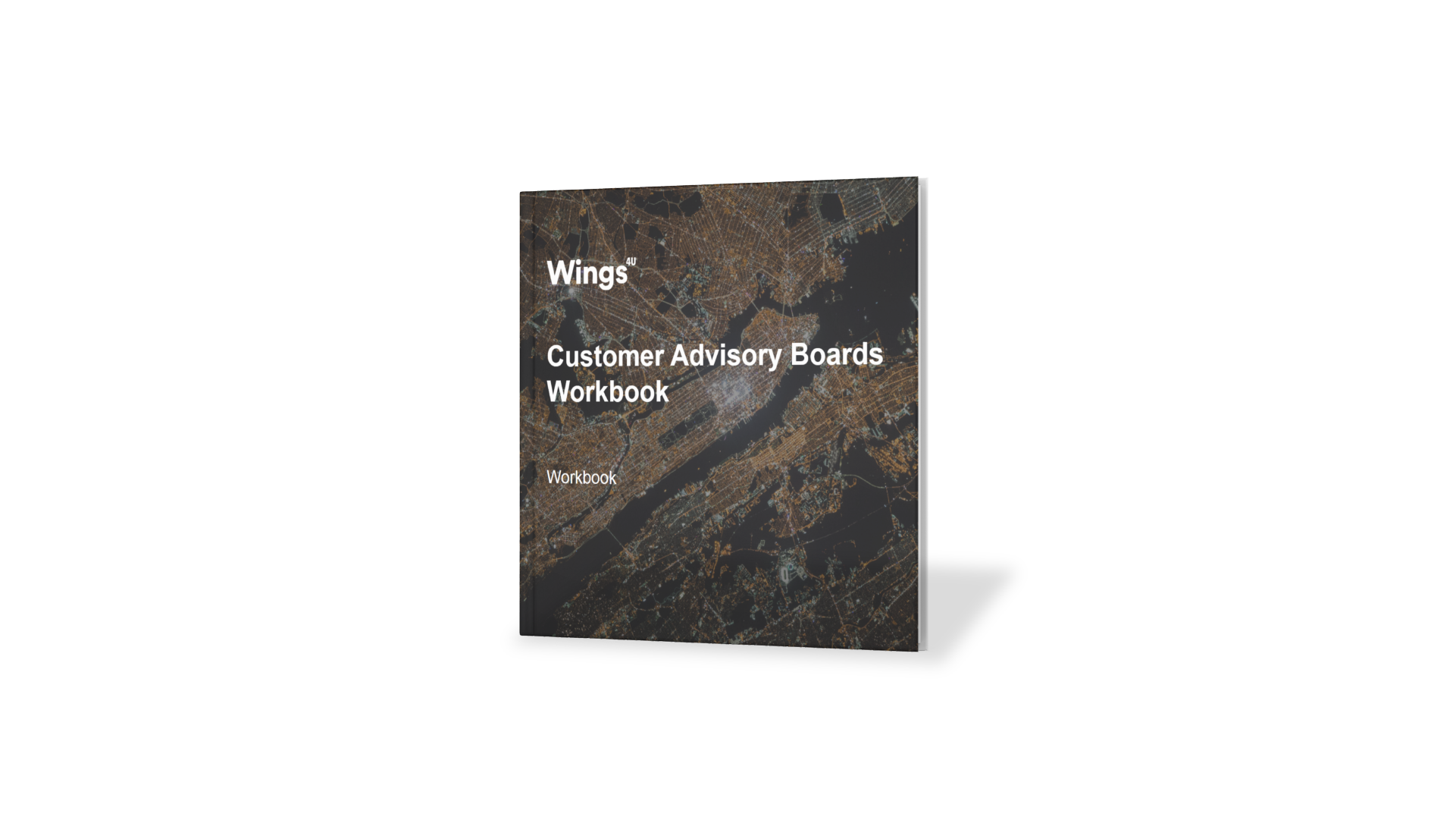 Customer Advisory Boards Workbook